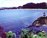 玉环天气预报10天